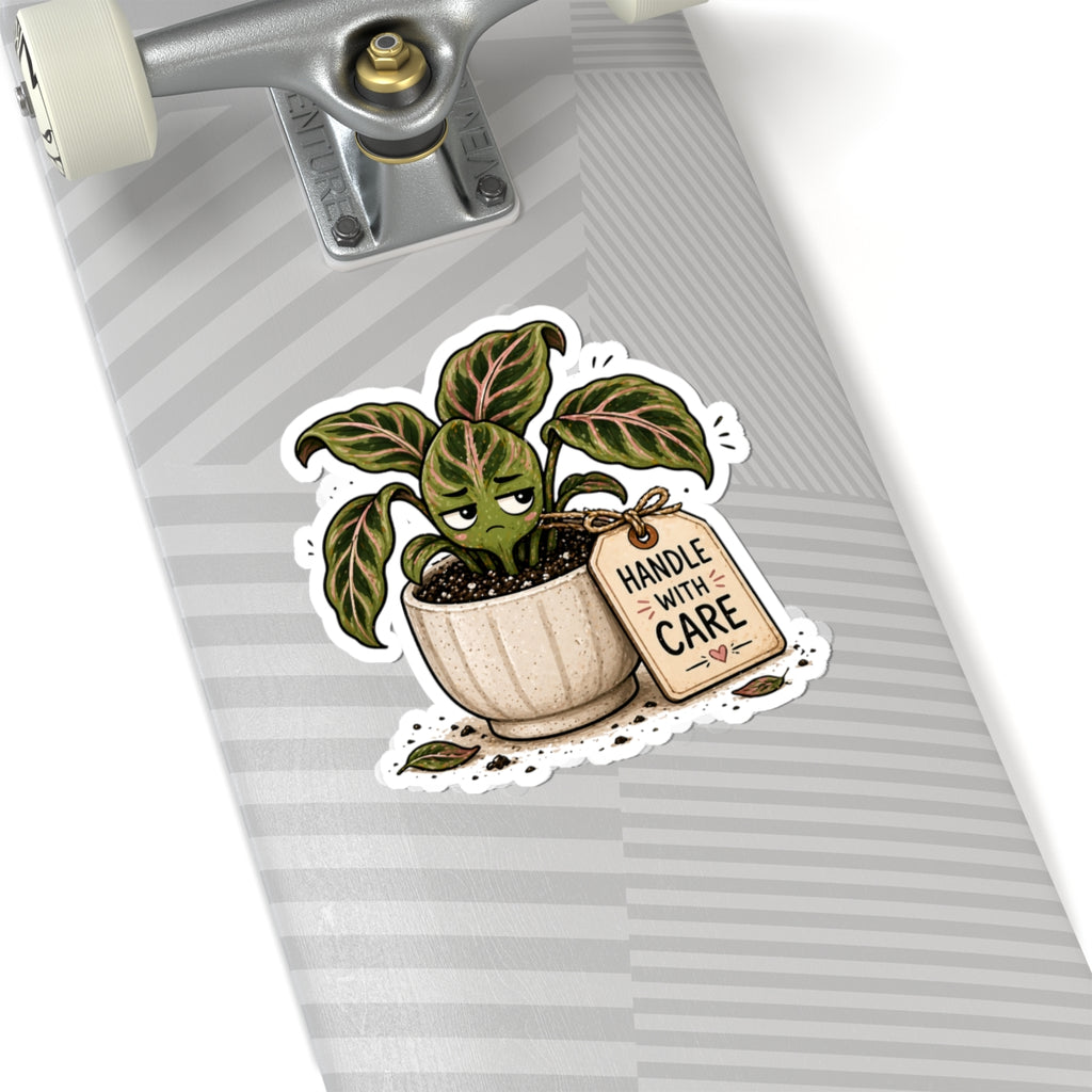 Handle With Care Plant