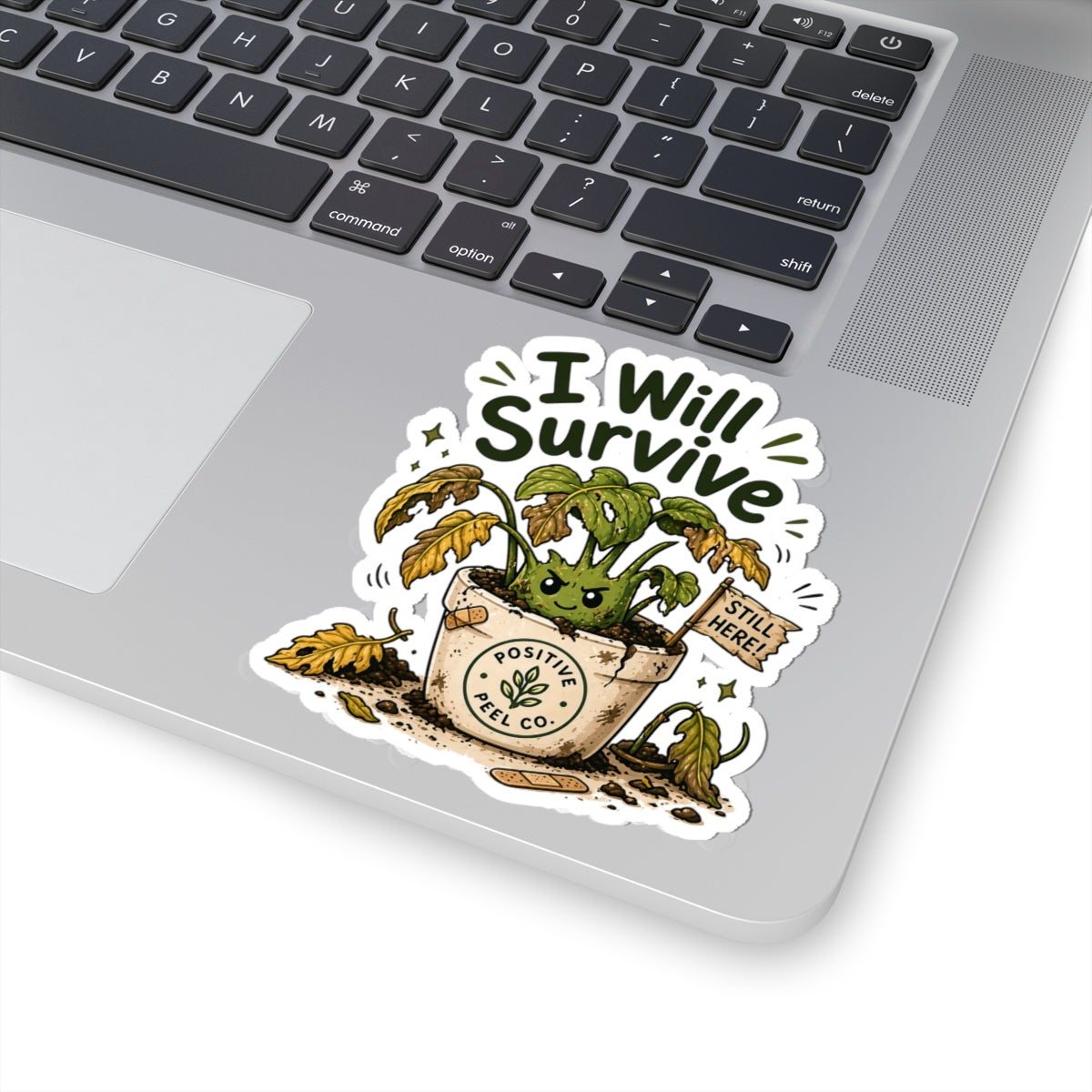 I Will Survive Plant