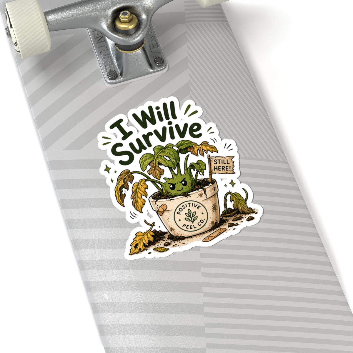 I Will Survive Plant